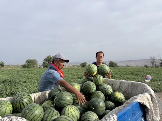 多种吃瓜的视频,揭秘热门视频背后的八卦风云 多种吃瓜的视频,揭秘热门视频背后的八卦风云