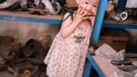 人类吃瓜幼崽视频,吃瓜幼崽视频引发社会热议 人类吃瓜幼崽视频,吃瓜幼崽视频引发社会热议