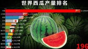 史上最惨吃瓜视频,一场意外引发的全民围观 史上最惨吃瓜视频,一场意外引发的全民围观