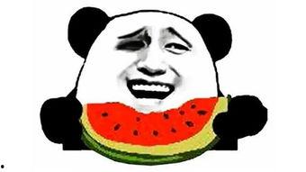 搞笑吃瓜超快的视频,笑料横生!吃瓜群众速览搞笑视频集锦 搞笑吃瓜超快的视频,笑料横生!吃瓜群众速览搞笑视频集锦
