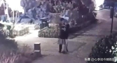 唐河吃瓜事件视频完整版,揭秘背后真相与争议 唐河吃瓜事件视频完整版,揭秘背后真相与争议