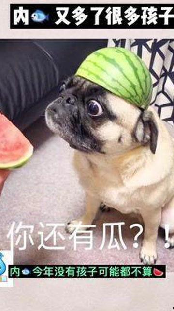 吃瓜群众婴儿视频,吃瓜群众镜头下的婴儿视频集锦 吃瓜群众婴儿视频,吃瓜群众镜头下的婴儿视频集锦