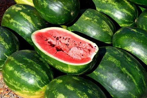 广西吃瓜视频大全,吃瓜视频大全带你领略特色美食 广西吃瓜视频大全,吃瓜视频大全带你领略特色美食