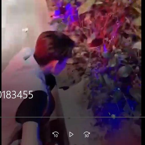 厦门的吃瓜群众事件视频,一场网络舆论的风暴与反思 厦门的吃瓜群众事件视频,一场网络舆论的风暴与反思