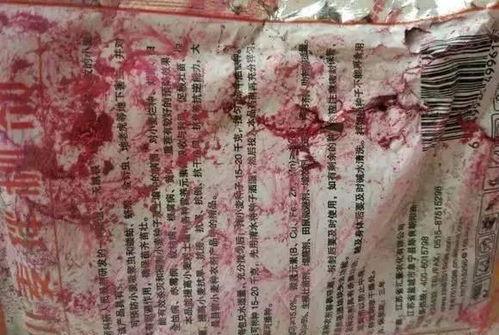 b站吃瓜大会怎么连视频,视频连播背后的精彩瞬间 b站吃瓜大会怎么连视频,视频连播背后的精彩瞬间