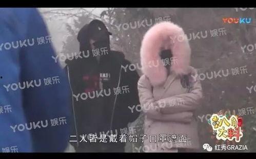 真爱粉吃瓜群众视频下载,视频下载背后的故事